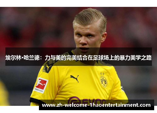 埃尔林·哈兰德：力与美的完美结合在足球场上的暴力美学之路